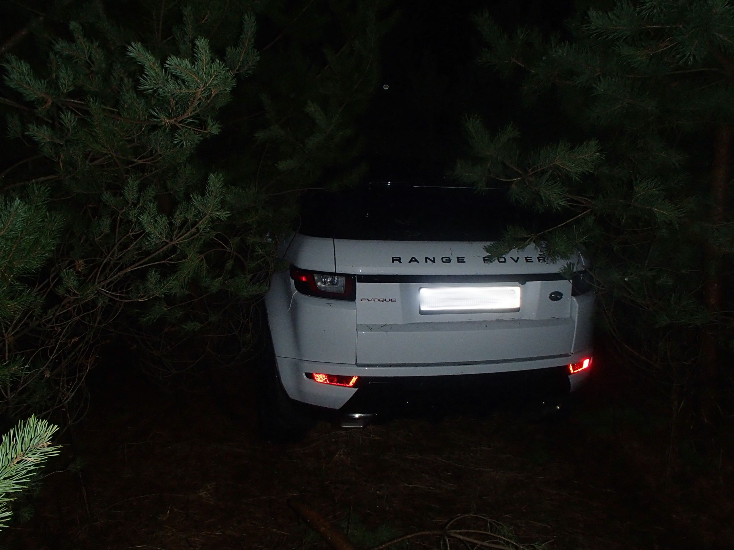 Угнанный в Петербурге Range Rover Evoque нашли под еловыми ветками
