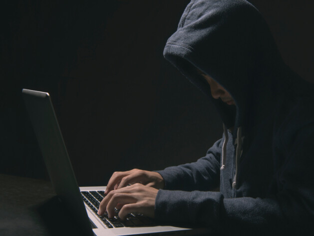 Мошенники из игры «Роблокс» обманули 10-летнюю петербурженку на 200 тысяч рублей