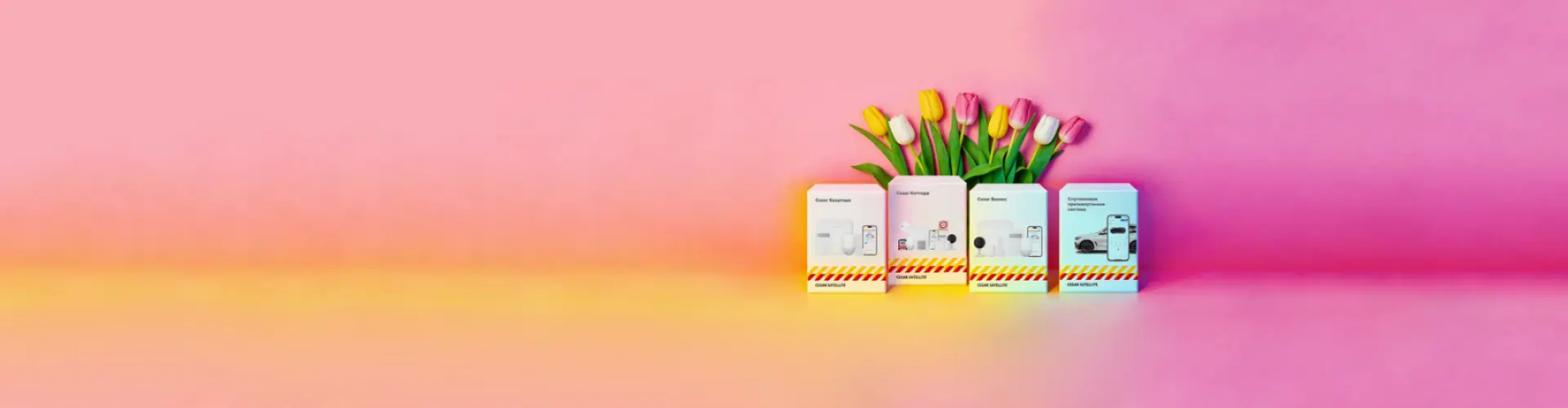 Лучший подарок для современных женщин