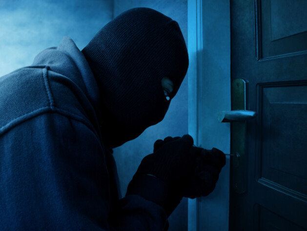 Итоги 2023 года: ТОП-7 самых громких и интересных краж за прошлый год