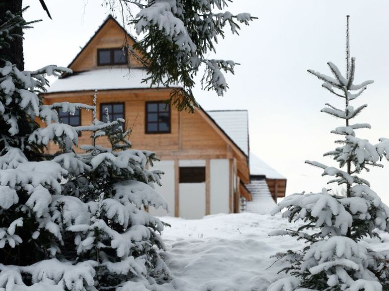 Как защитить загородный дом от незваных гостей зимой?
